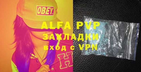 стаф Алзамай