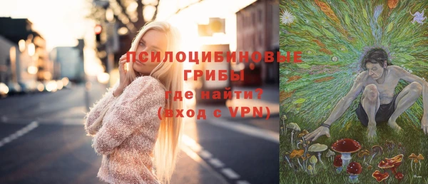 герыч Алексин