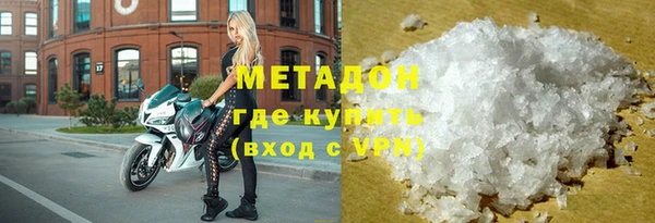 стаф Алзамай